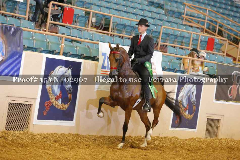 Proof 15YN_02967