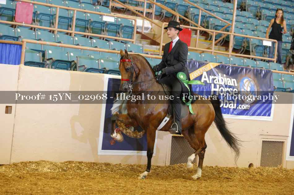 Proof 15YN_02968