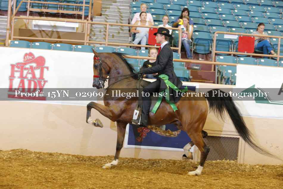 Proof 15YN_02969
