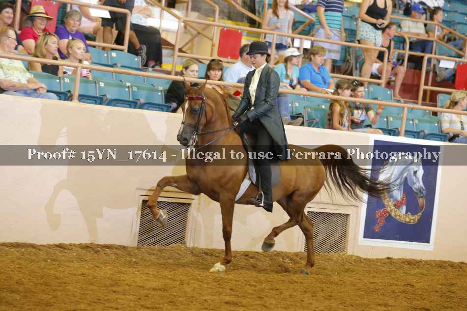 Proof 15YN_17614