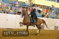 15YN_17682 proof