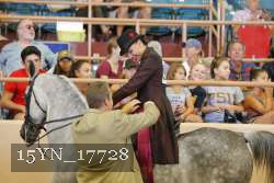 15YN_17728 proof