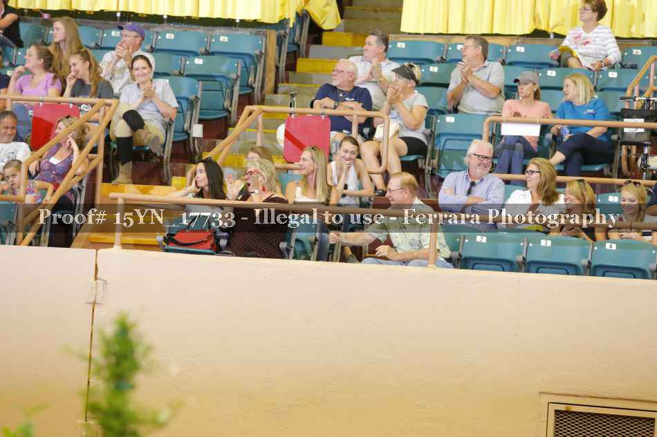 Proof 15YN_17733