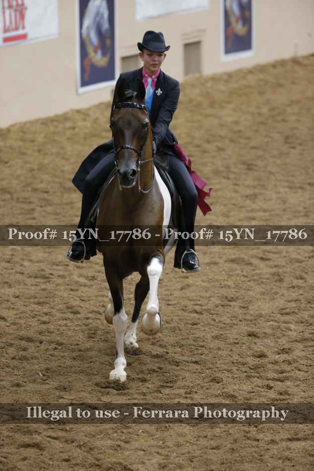 Proof 15YN_17786