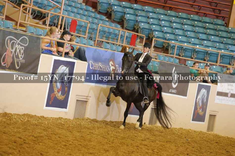 Proof 15YN_17794