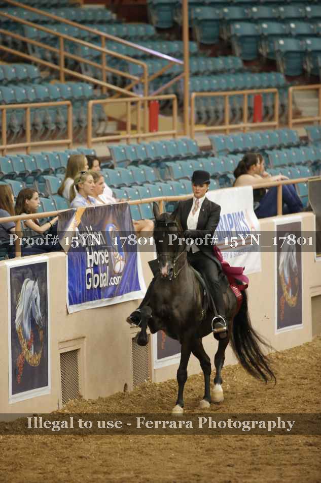 Proof 15YN_17801