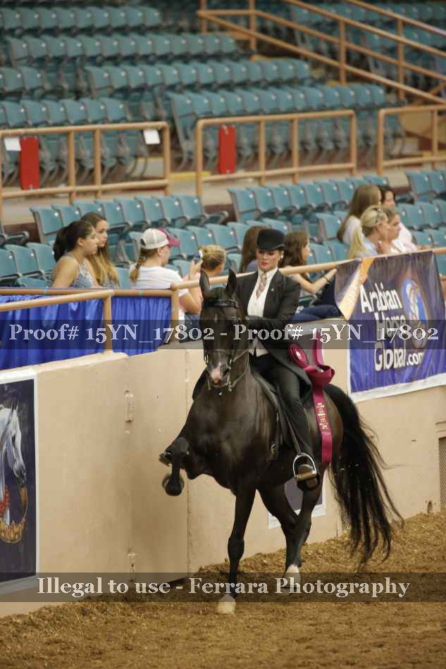 Proof 15YN_17802
