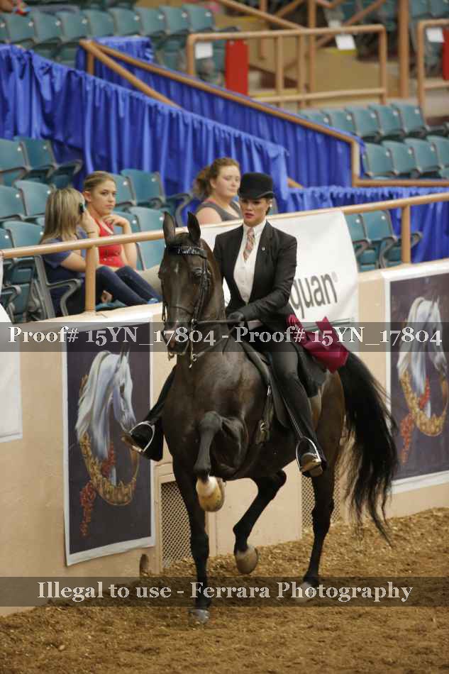 Proof 15YN_17804