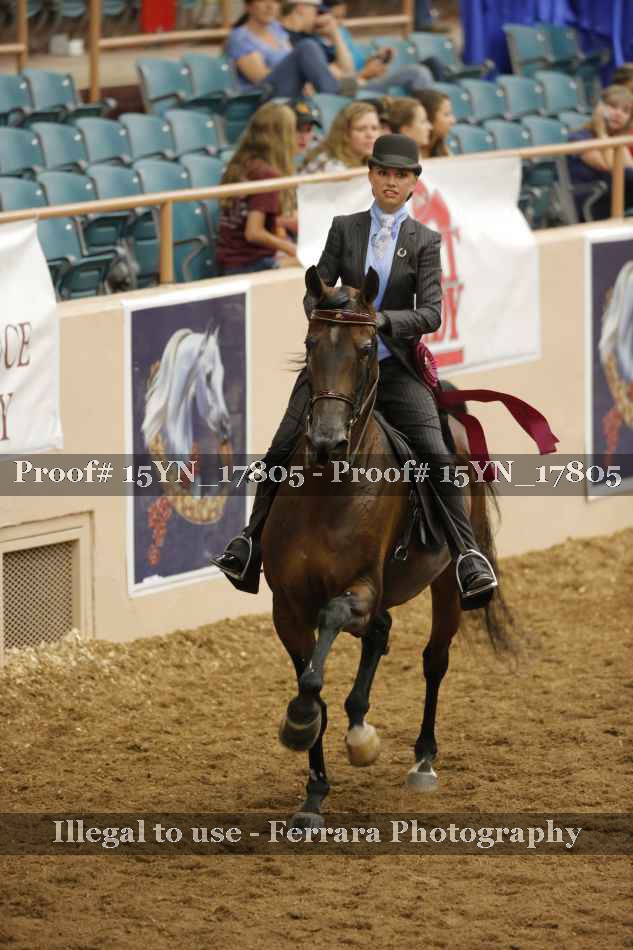 Proof 15YN_17805