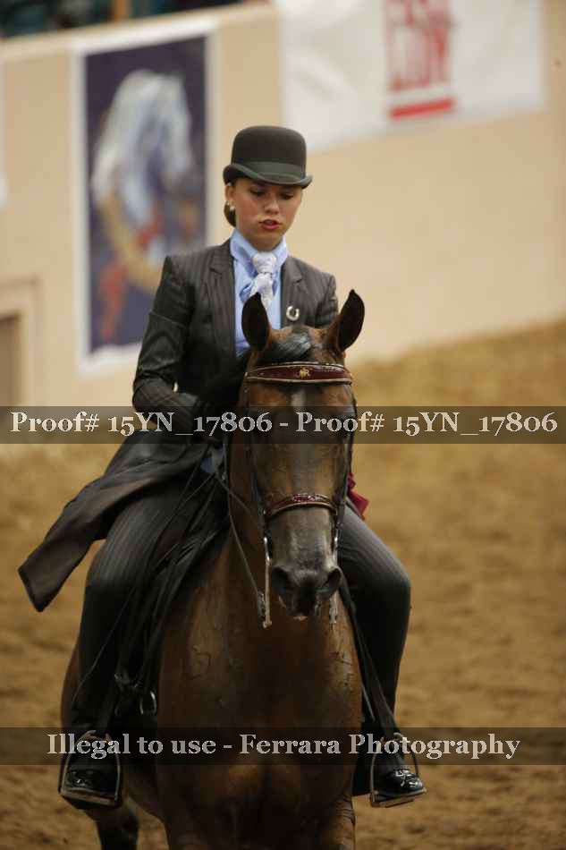 Proof 15YN_17806
