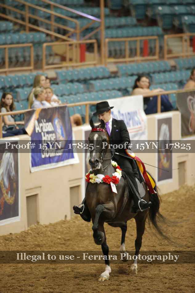 Proof 15YN_17825