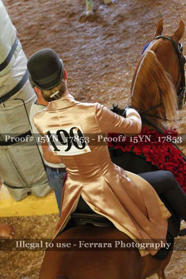 Proof 15YN_17853