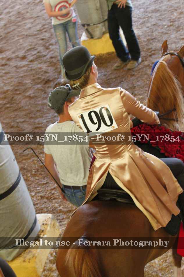 Proof 15YN_17854
