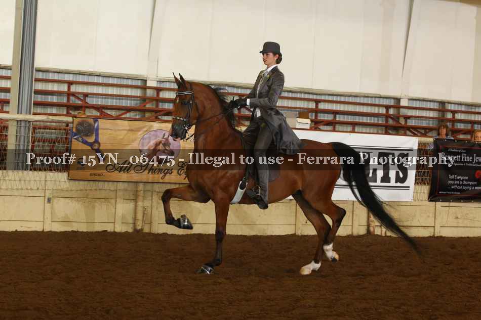 Proof 15YN_06475