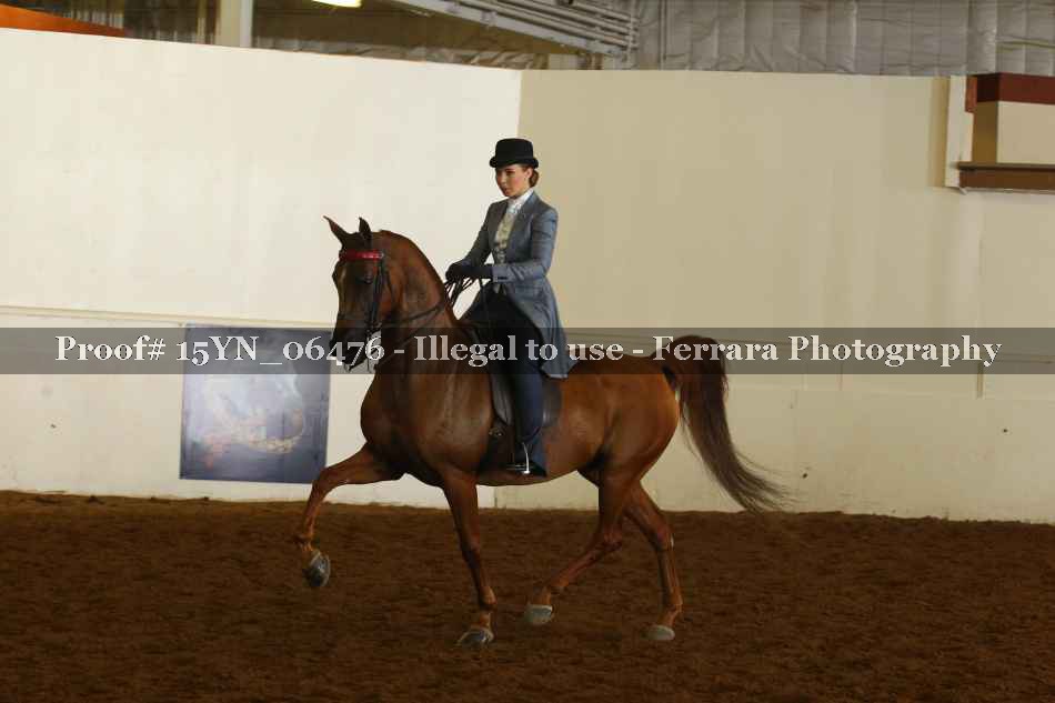 Proof 15YN_06476