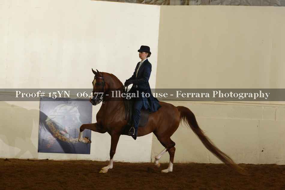 Proof 15YN_06477