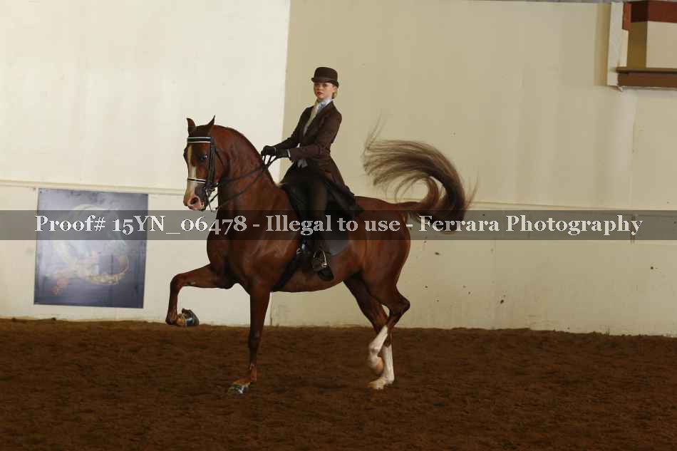 Proof 15YN_06478