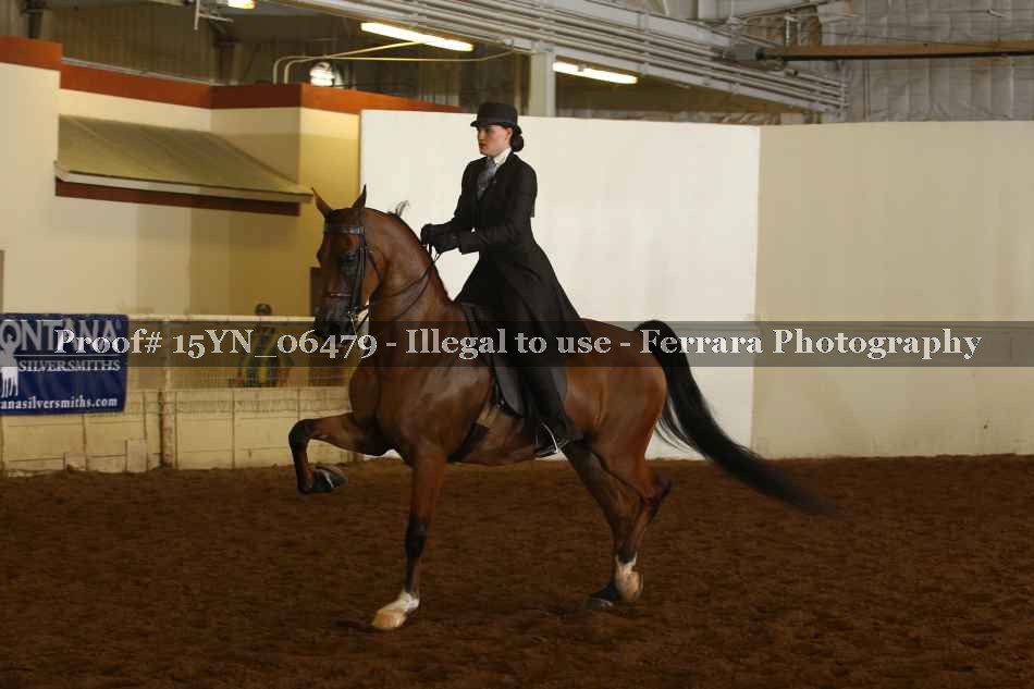 Proof 15YN_06479