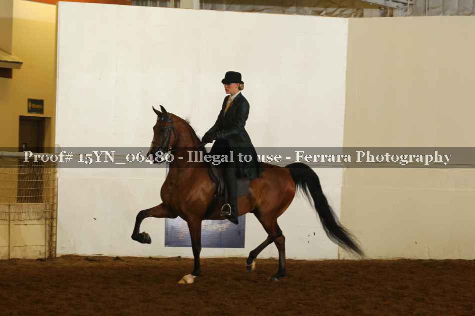 Proof 15YN_06480