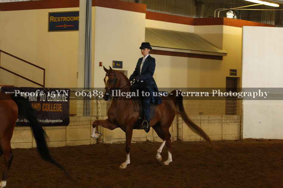 Proof 15YN_06483