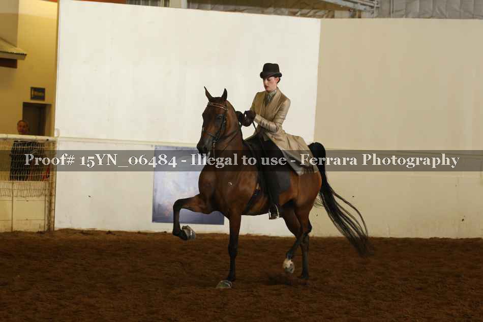 Proof 15YN_06484
