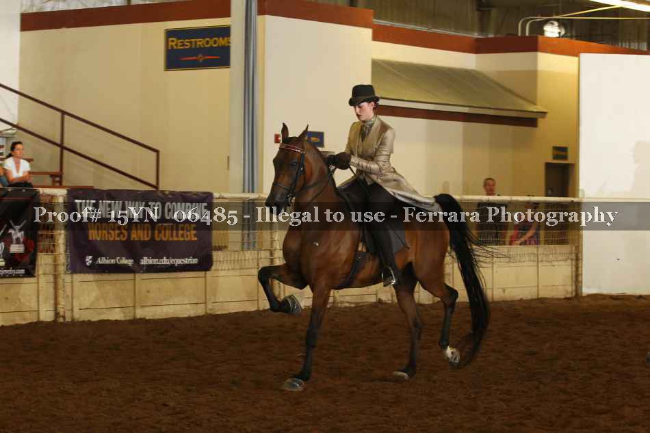 Proof 15YN_06485
