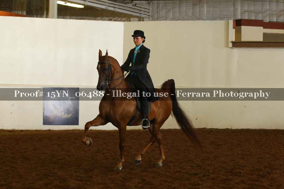 Proof 15YN_06488