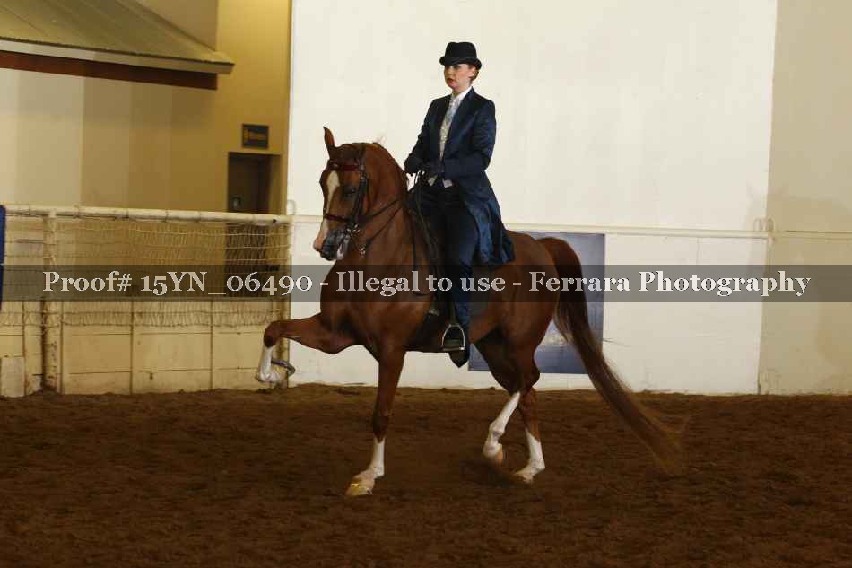 Proof 15YN_06490