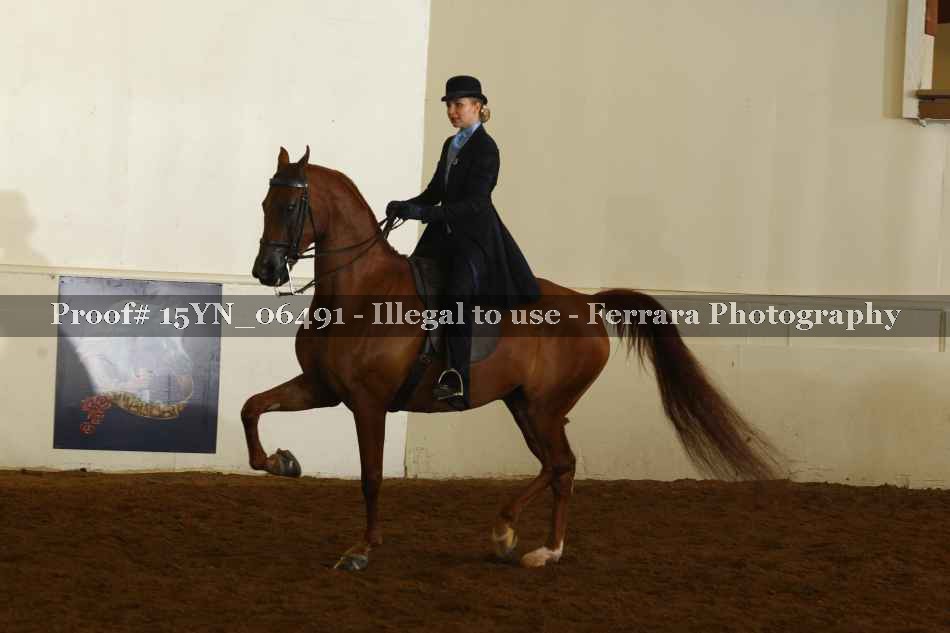 Proof 15YN_06491