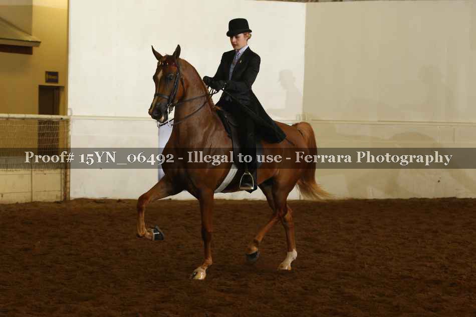 Proof 15YN_06492