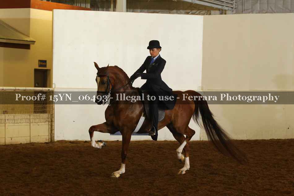 Proof 15YN_06493
