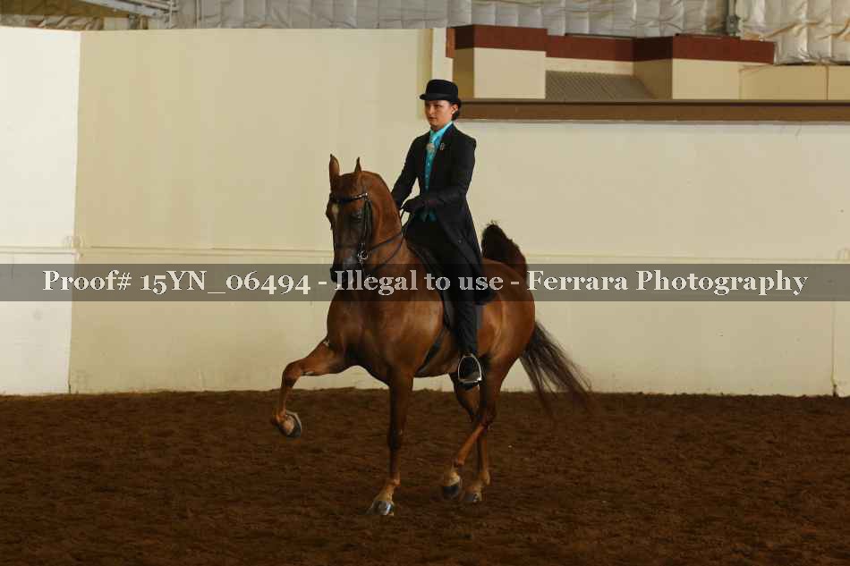 Proof 15YN_06494