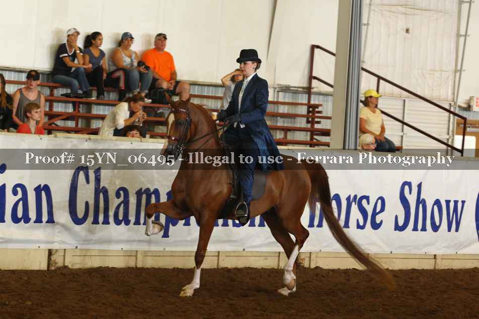Proof 15YN_06495