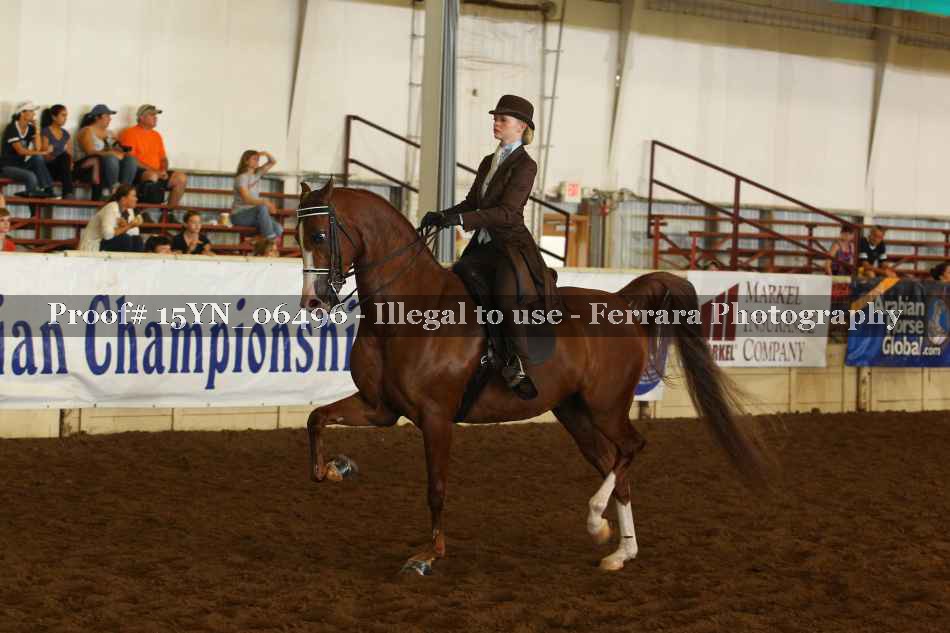 Proof 15YN_06496