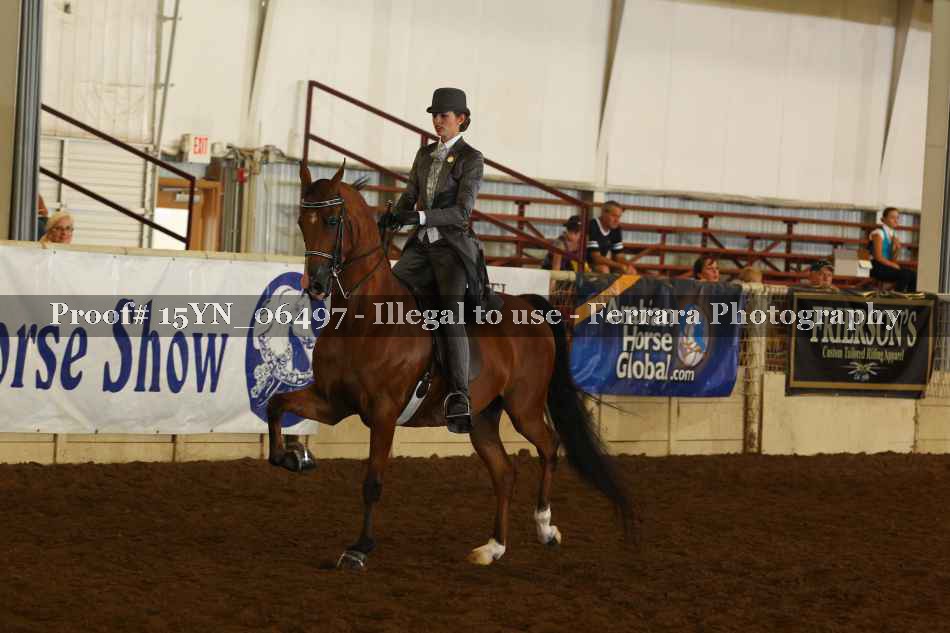 Proof 15YN_06497