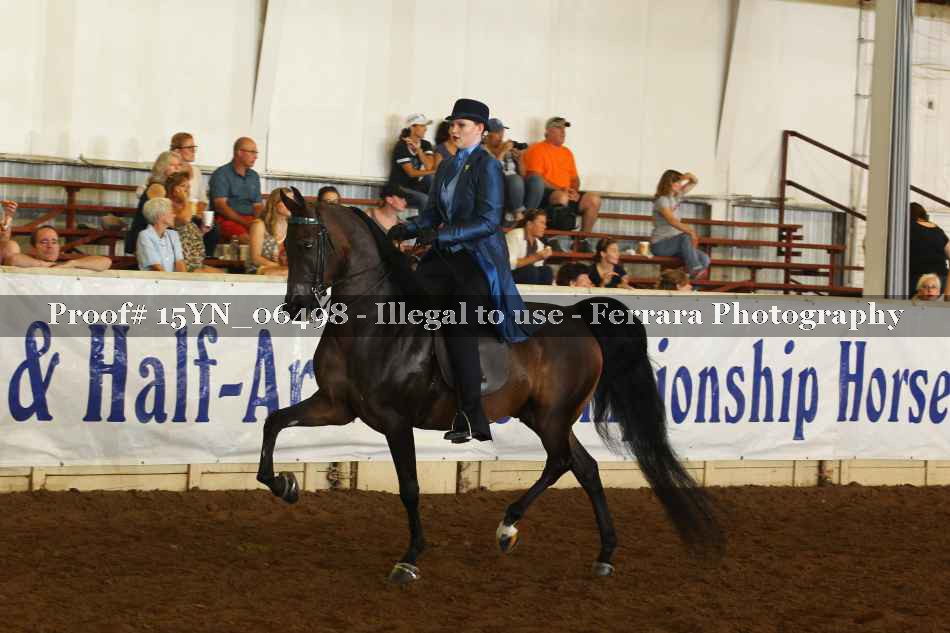 Proof 15YN_06498
