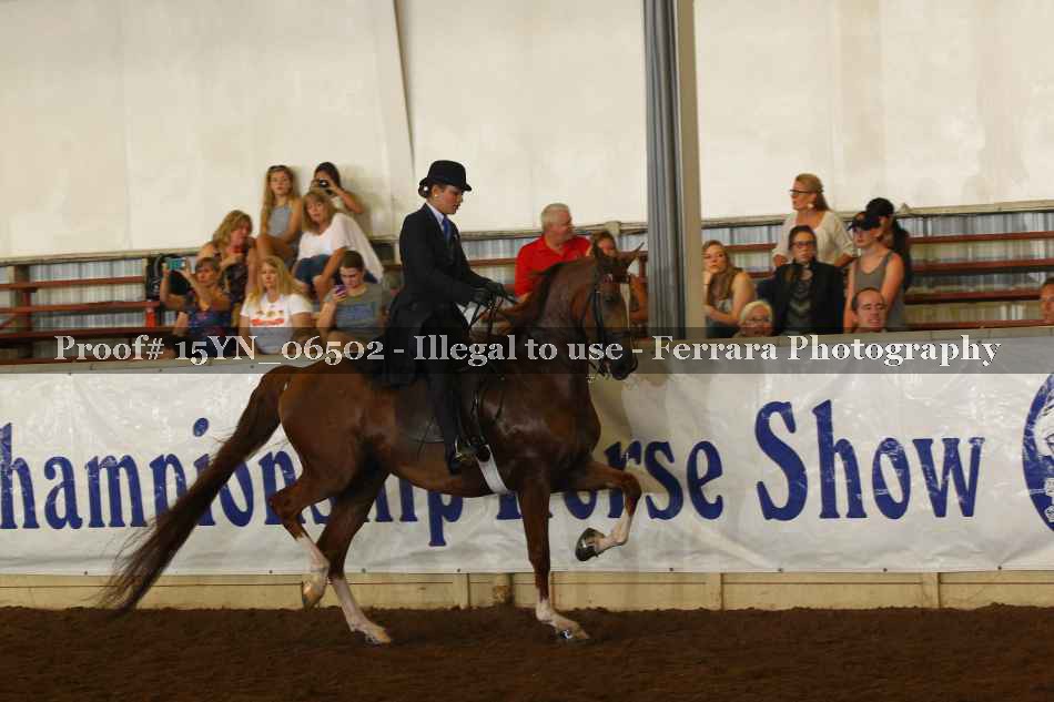 Proof 15YN_06502