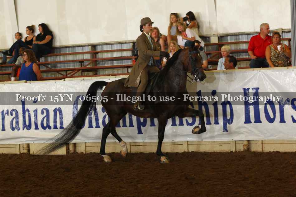 Proof 15YN_06505