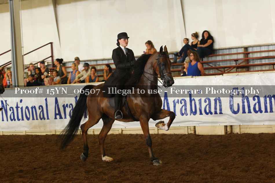 Proof 15YN_06507