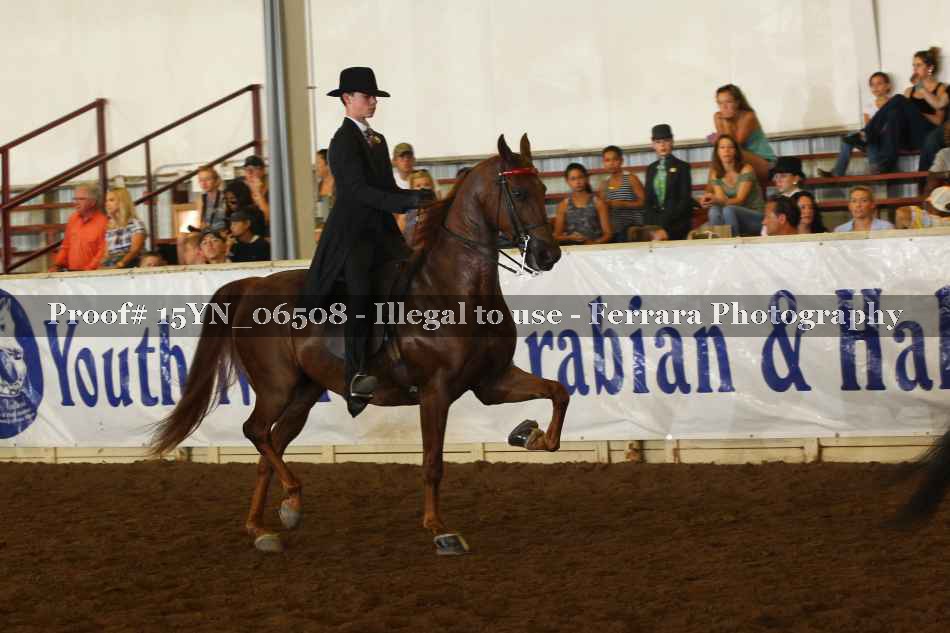 Proof 15YN_06508