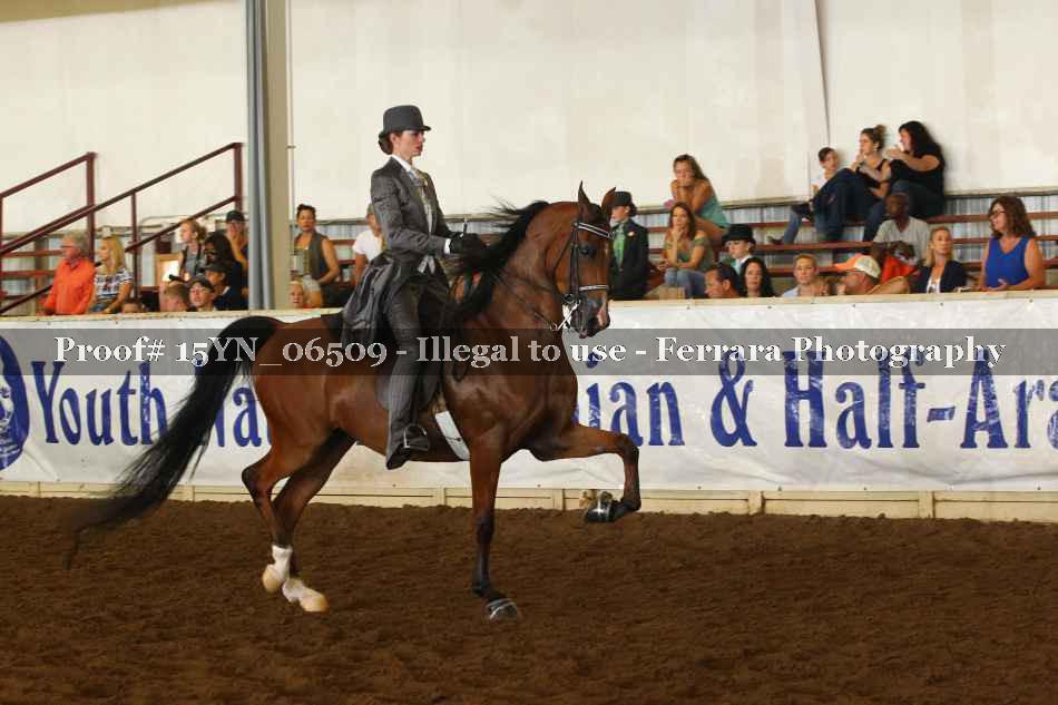 Proof 15YN_06509