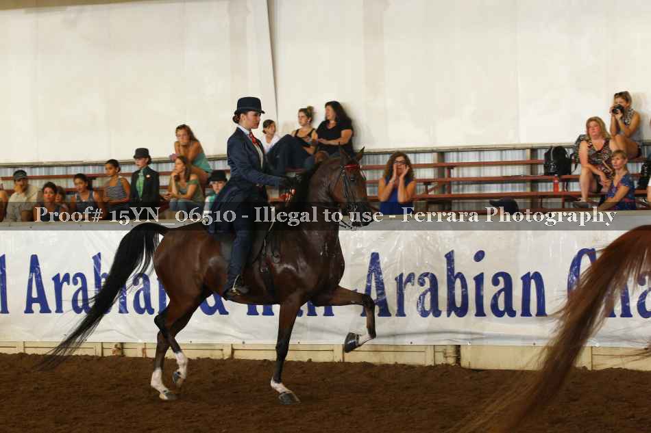 Proof 15YN_06510