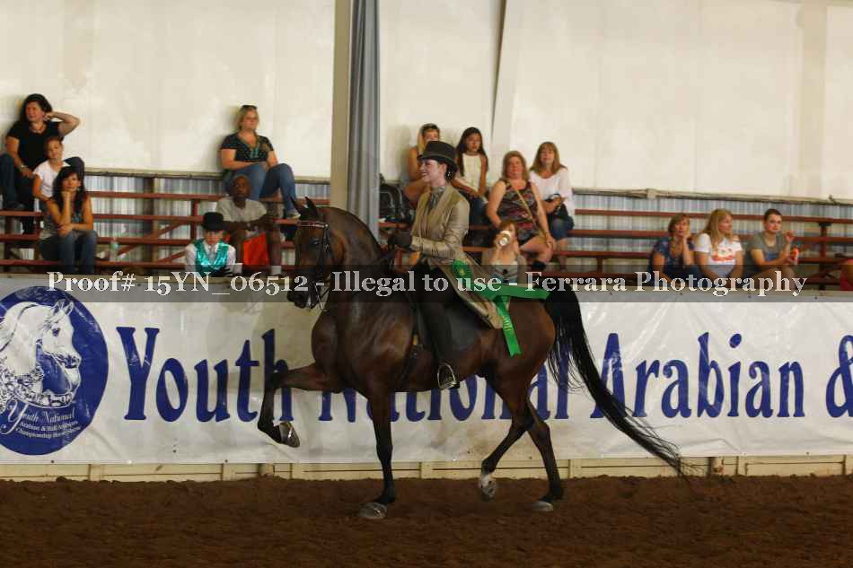 Proof 15YN_06512