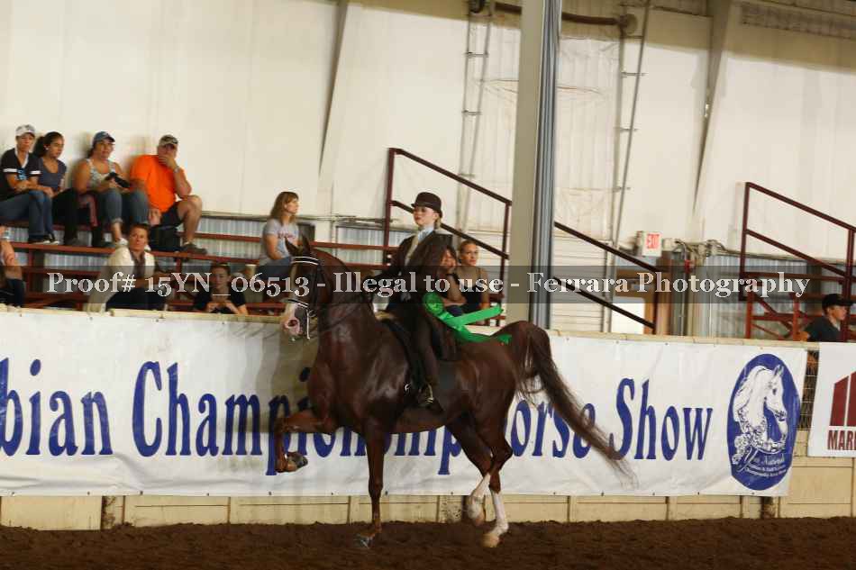 Proof 15YN_06513
