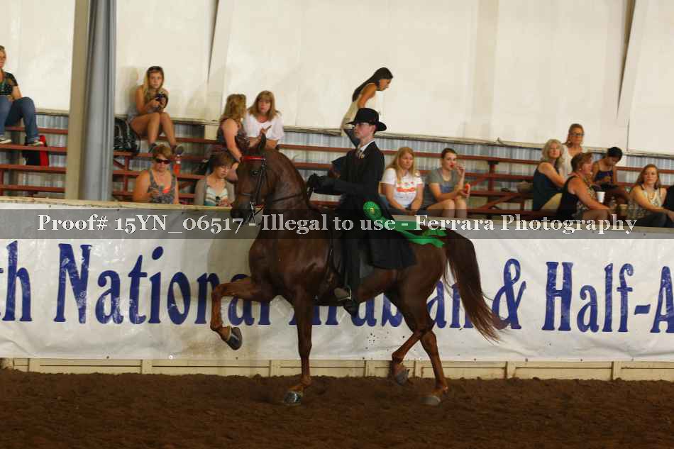 Proof 15YN_06517