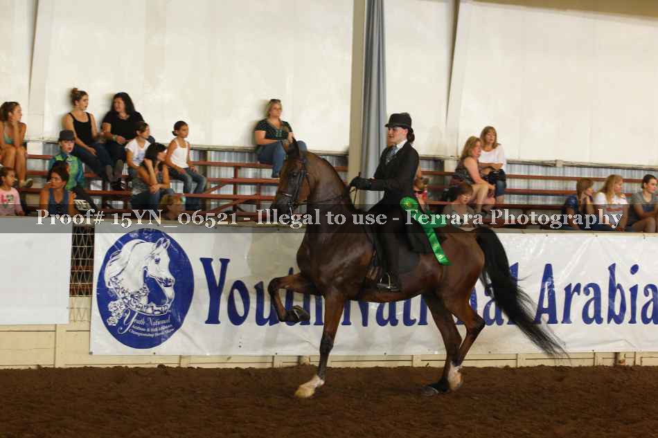 Proof 15YN_06521