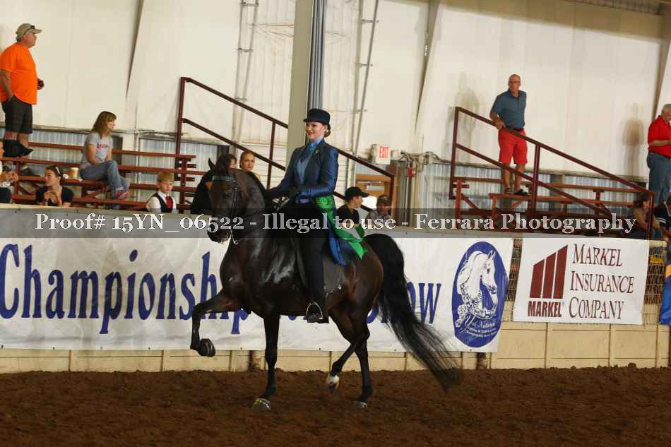 Proof 15YN_06522
