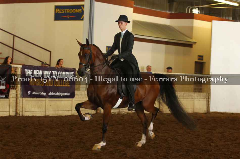 Proof 15YN_06604