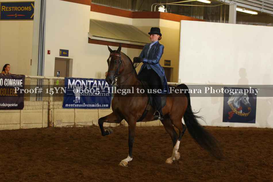 Proof 15YN_06605