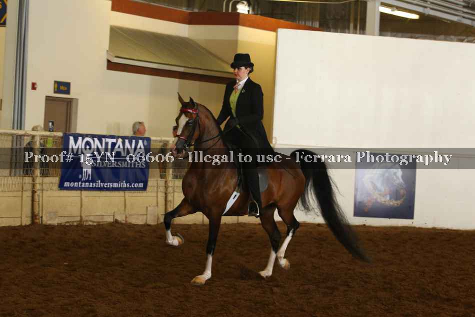 Proof 15YN_06606